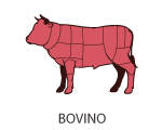 Bovino